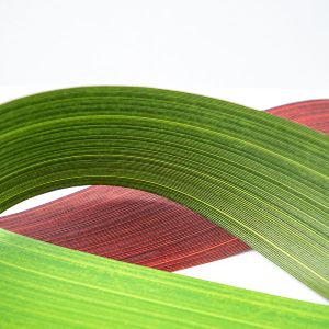 Iesaiņošanas lente / dažādas toņi