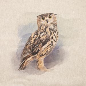 Dekoratīva kokvilnas auduma kupons / Pūce