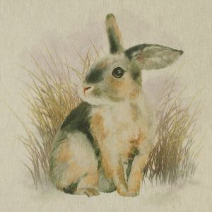 Dekoratīva kokvilnas auduma kupons / Trusis