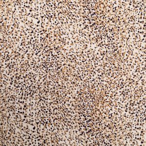  Krāsains viskozes audums Borken Crepe Yoryu