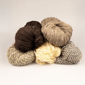 Dzija Stenli Natural Wool 2 ply 200 g / Dažadi toņi