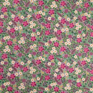 Krāsains kokvilnas poplīns