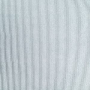 Velvets Soft Touch Couroy / D1 Gaiši Zils