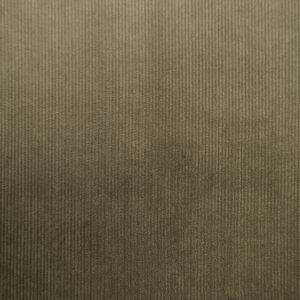 Velvets Soft Touch Couroy / D5 Haki