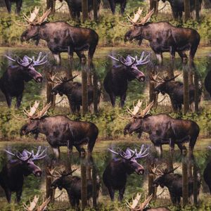 GOTS trikotāža / Holy Mooses