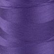 Diegi overlokam / Violets 170