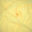 Dzija Stylecraft Special Aran / 1020 Lemon