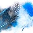 Krāsainas marabu spalvas / 2902 Turquoise Blue Mix