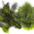 Krāsainas marabu spalvas / 2908 Green Mix