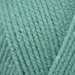 Dzija Emu Classic Aran 100 g / Asparagus (186)