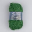 Dzija Stenli Leonardo Kid Mohair 25 g / 13 Spring grass