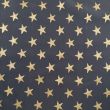 Tills GOLDSTAR / Zelta