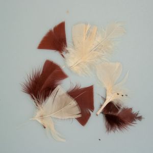Красочные перья / Exotic Feathers Brown & White