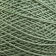 Нить для вязания крючком Kaja / 14003-0310 Lt Green